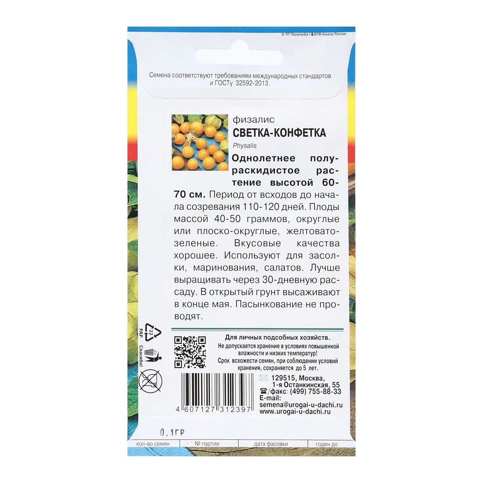 Семена Физалис 