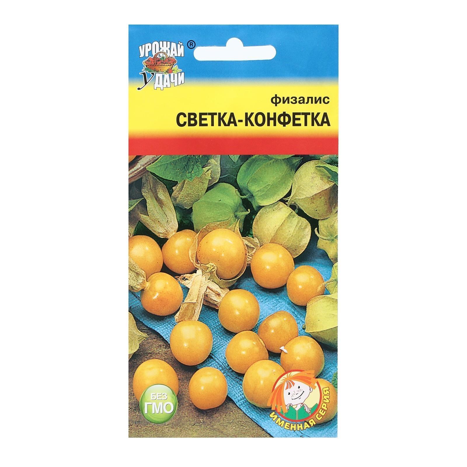 Семена Физалис 