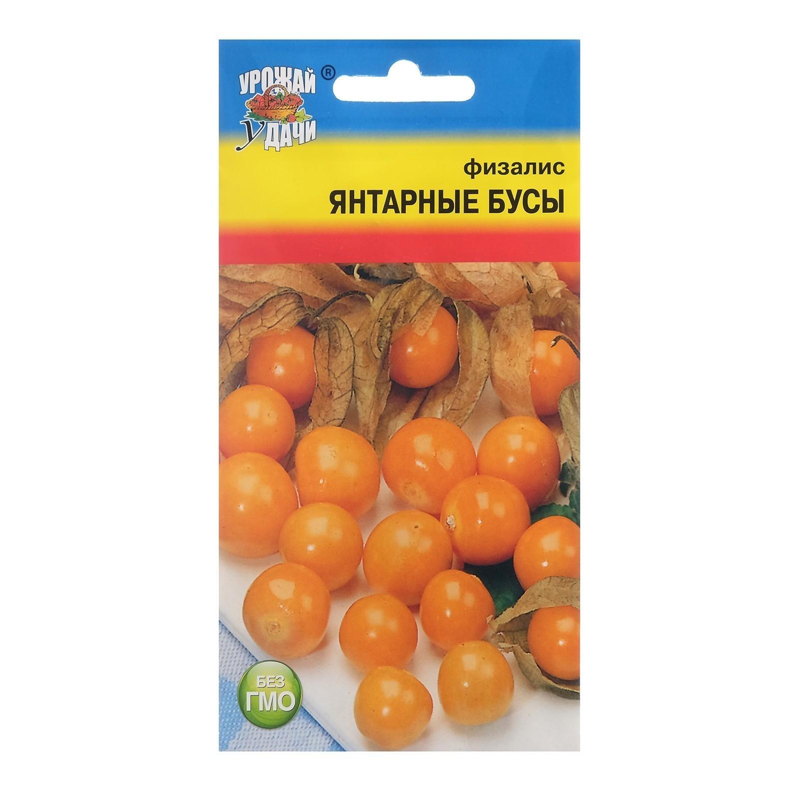 Семена Физалис 