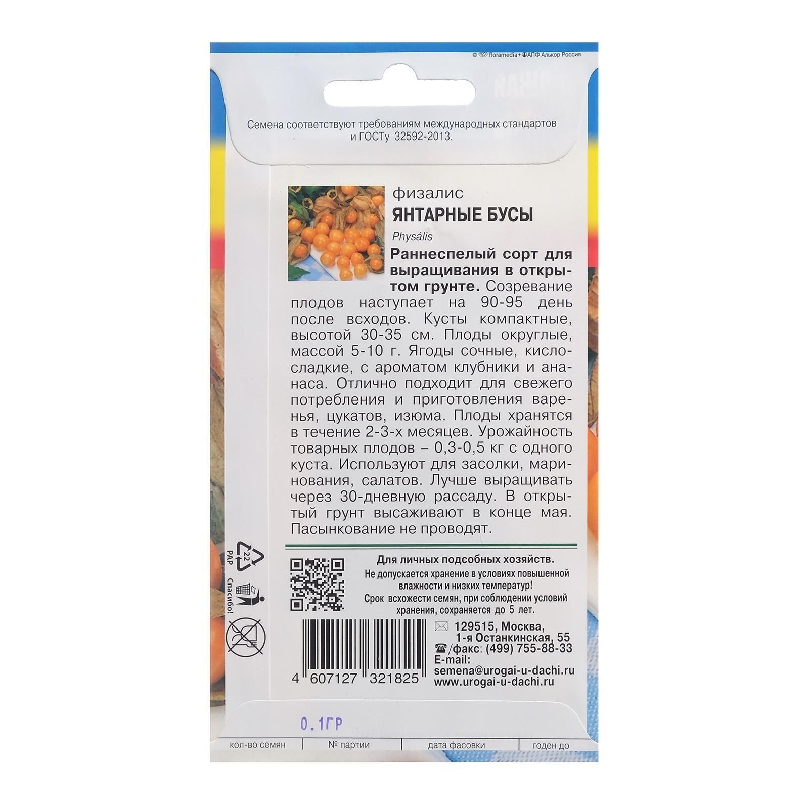 Семена Физалис 