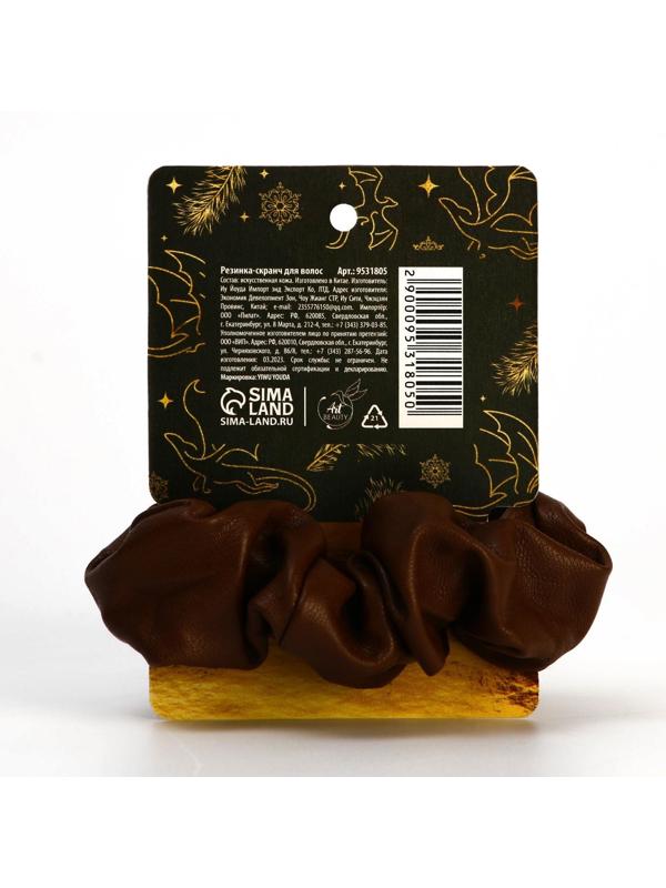 Резинка для волос «Мечты сбудутся», коричневая, d = 10 см