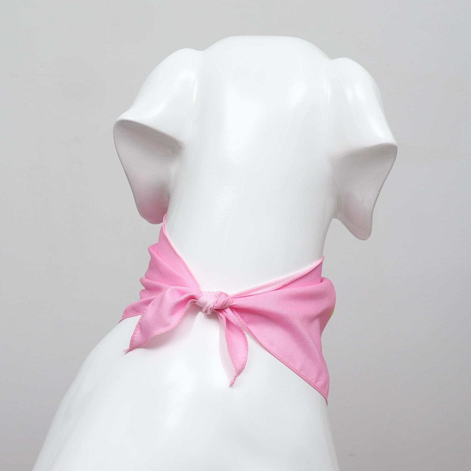 Платок для животных 