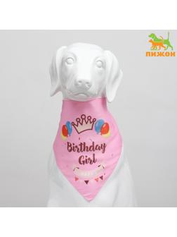 Платок для животных 