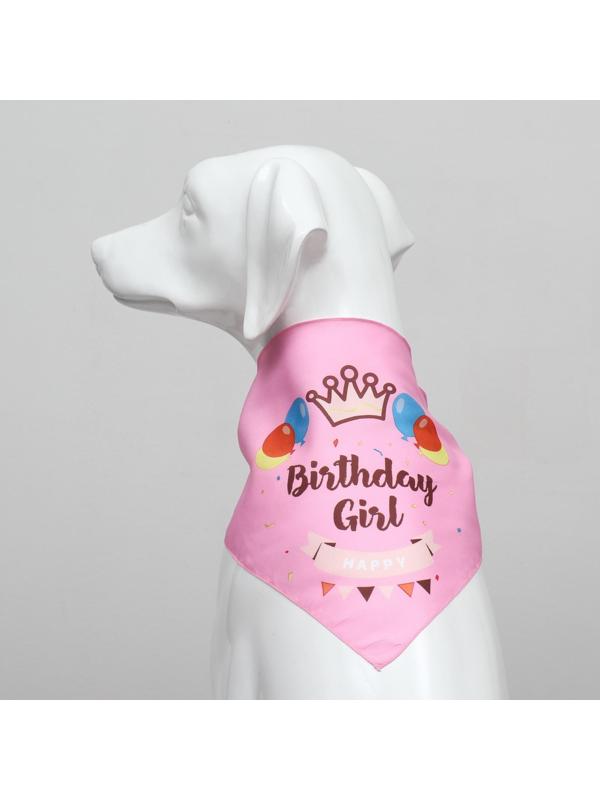 Платок для животных 