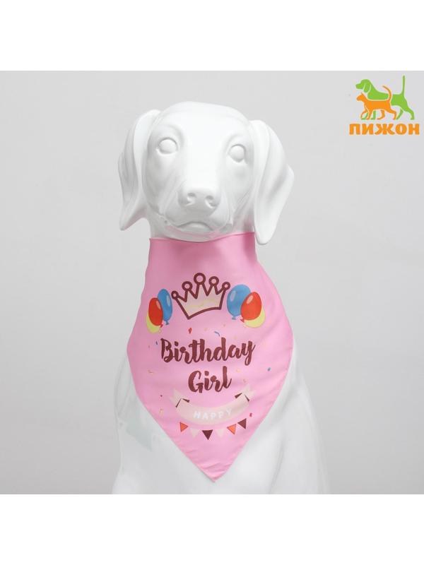 Платок для животных 