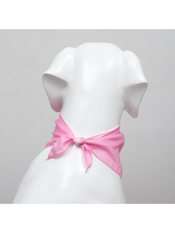 Платок для животных 