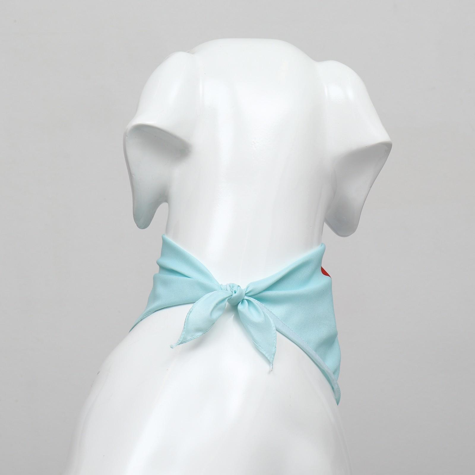 Платок для животных 