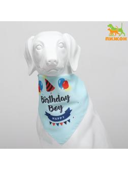 Платок для животных 