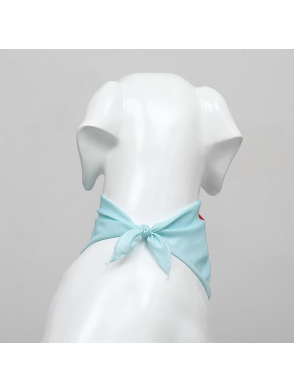 Платок для животных 