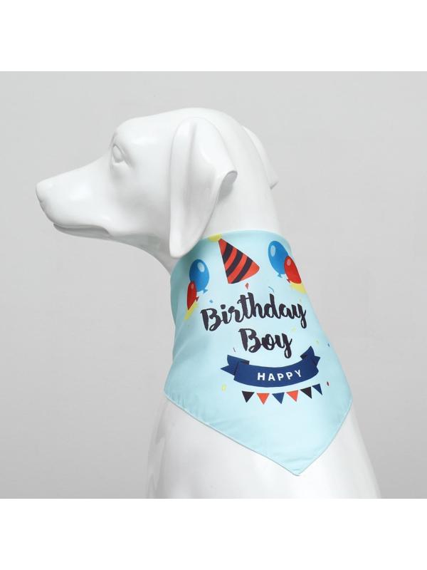 Платок для животных 