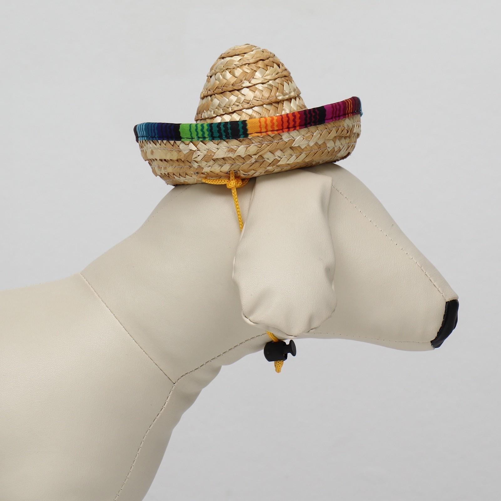 Шляпа для животных, размер S (16 х 8 х 7 см)