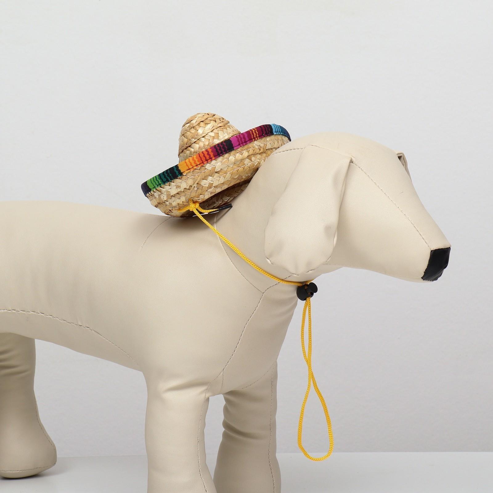 Шляпа для животных, размер S (16 х 8 х 7 см)