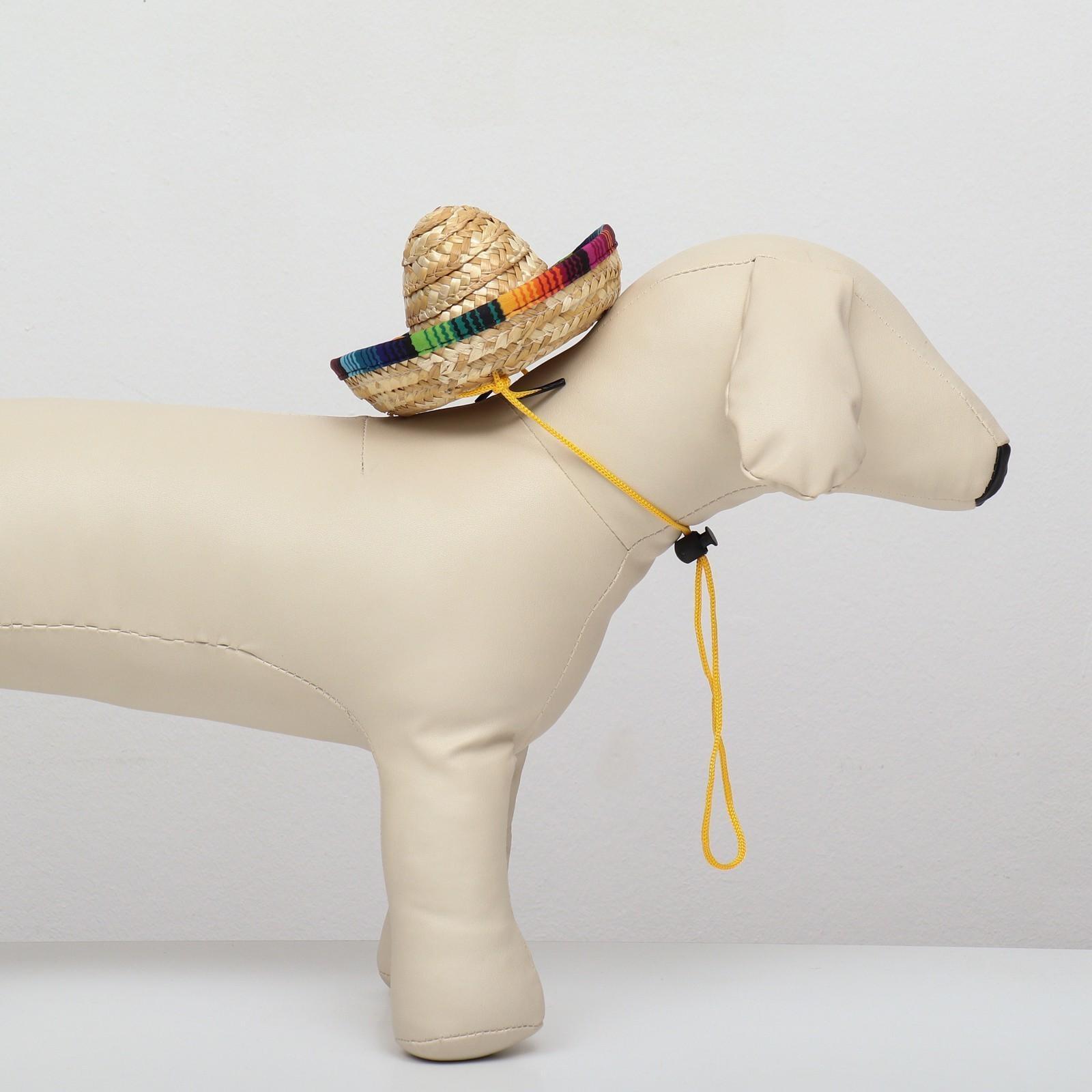 Шляпа для животных, размер S (16 х 8 х 7 см)