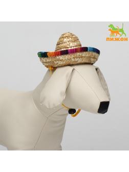 Шляпа для животных, размер S (16 х 8 х 7 см)