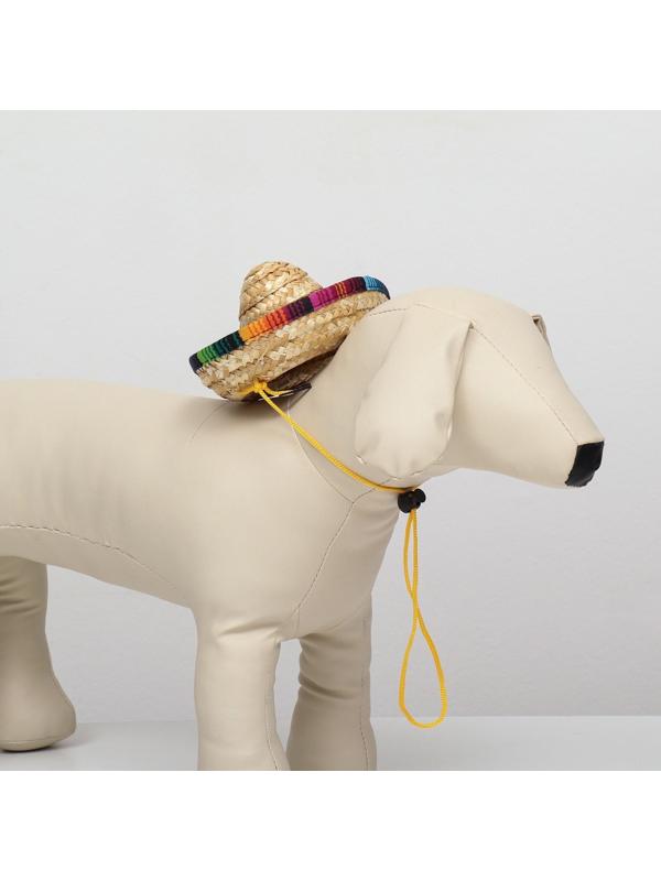 Шляпа для животных, размер S (16 х 8 х 7 см)