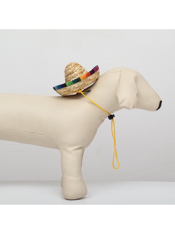 Шляпа для животных, размер S (16 х 8 х 7 см)