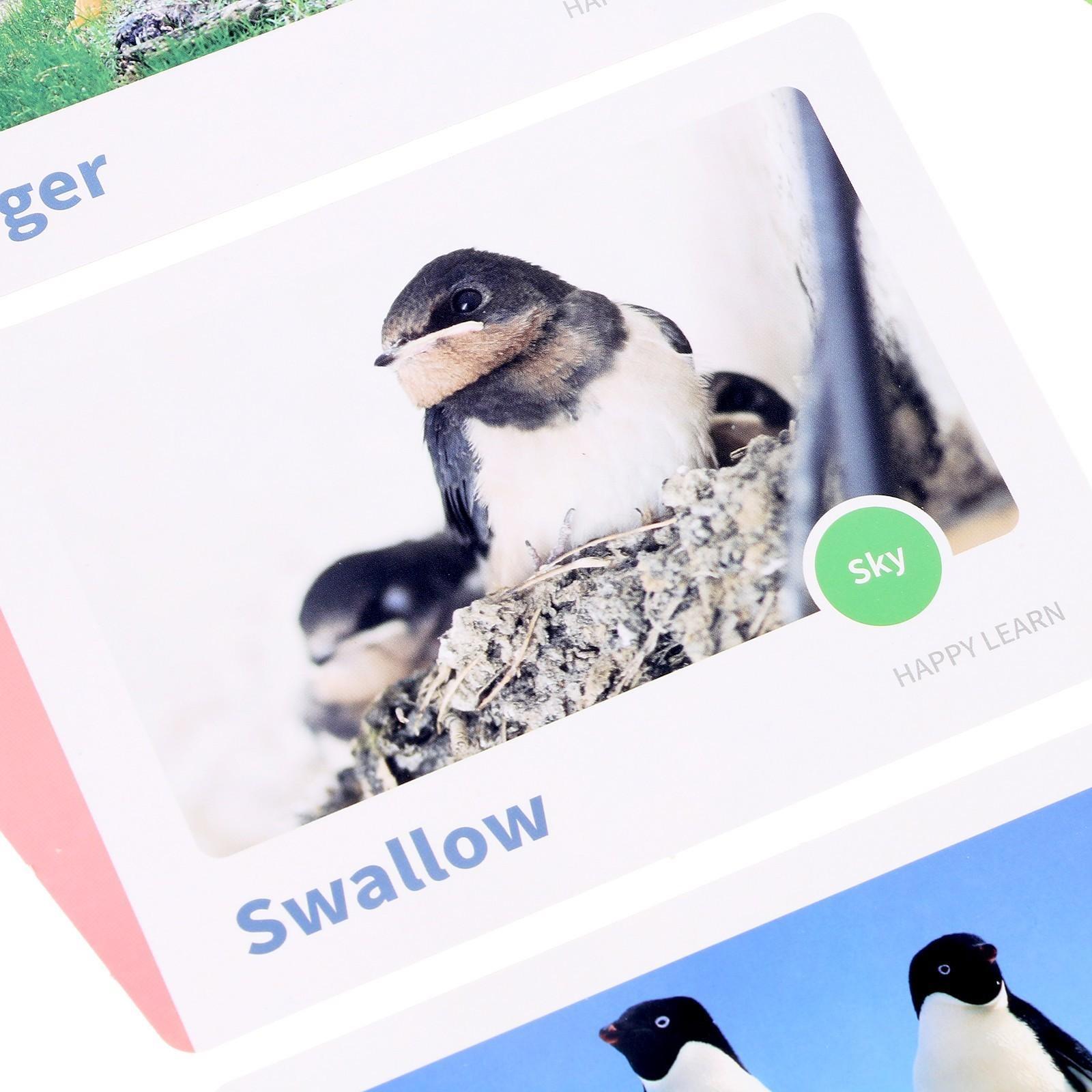 Набор для визуальных опытов «Динамические фигуры» 16 карточек