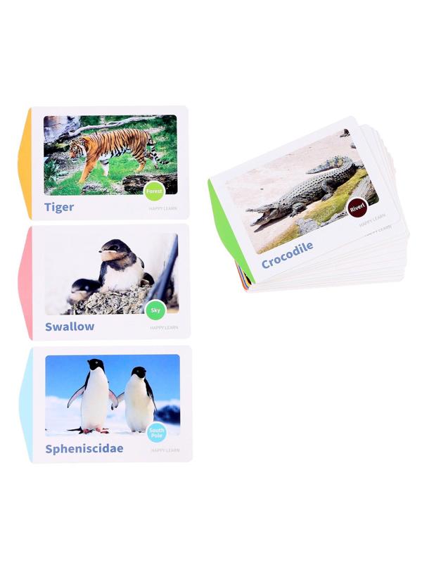 Набор для визуальных опытов «Динамические фигуры» 16 карточек