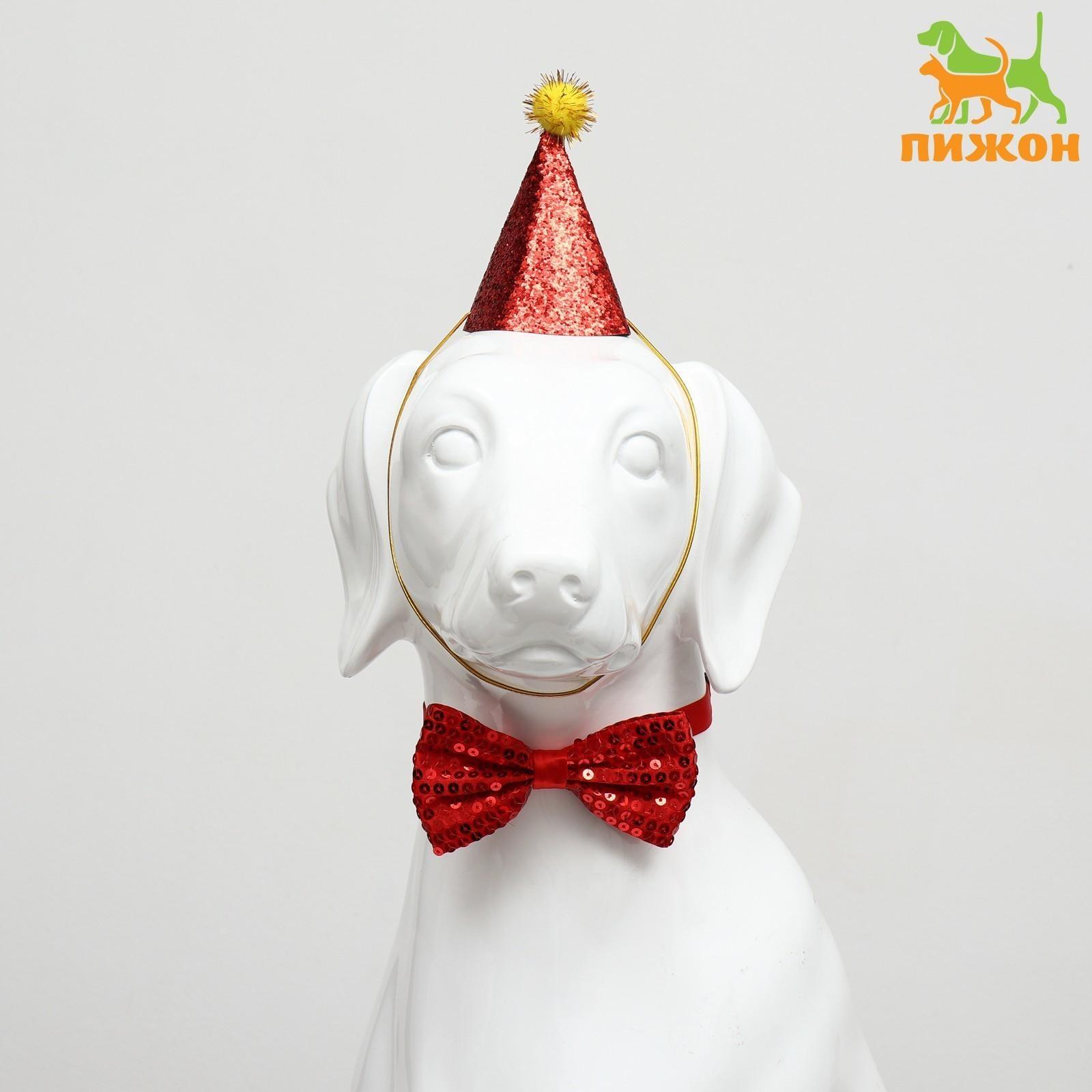 Набор для праздника (колпак+бантик), красный