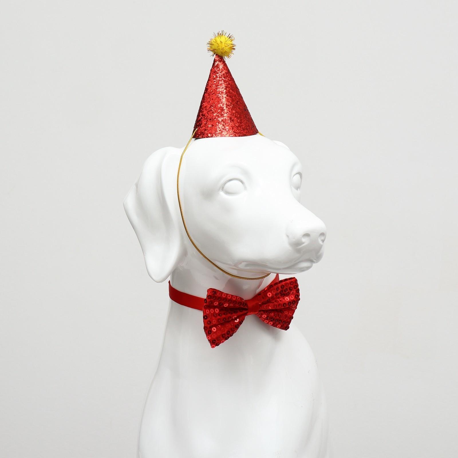 Набор для праздника (колпак+бантик), красный