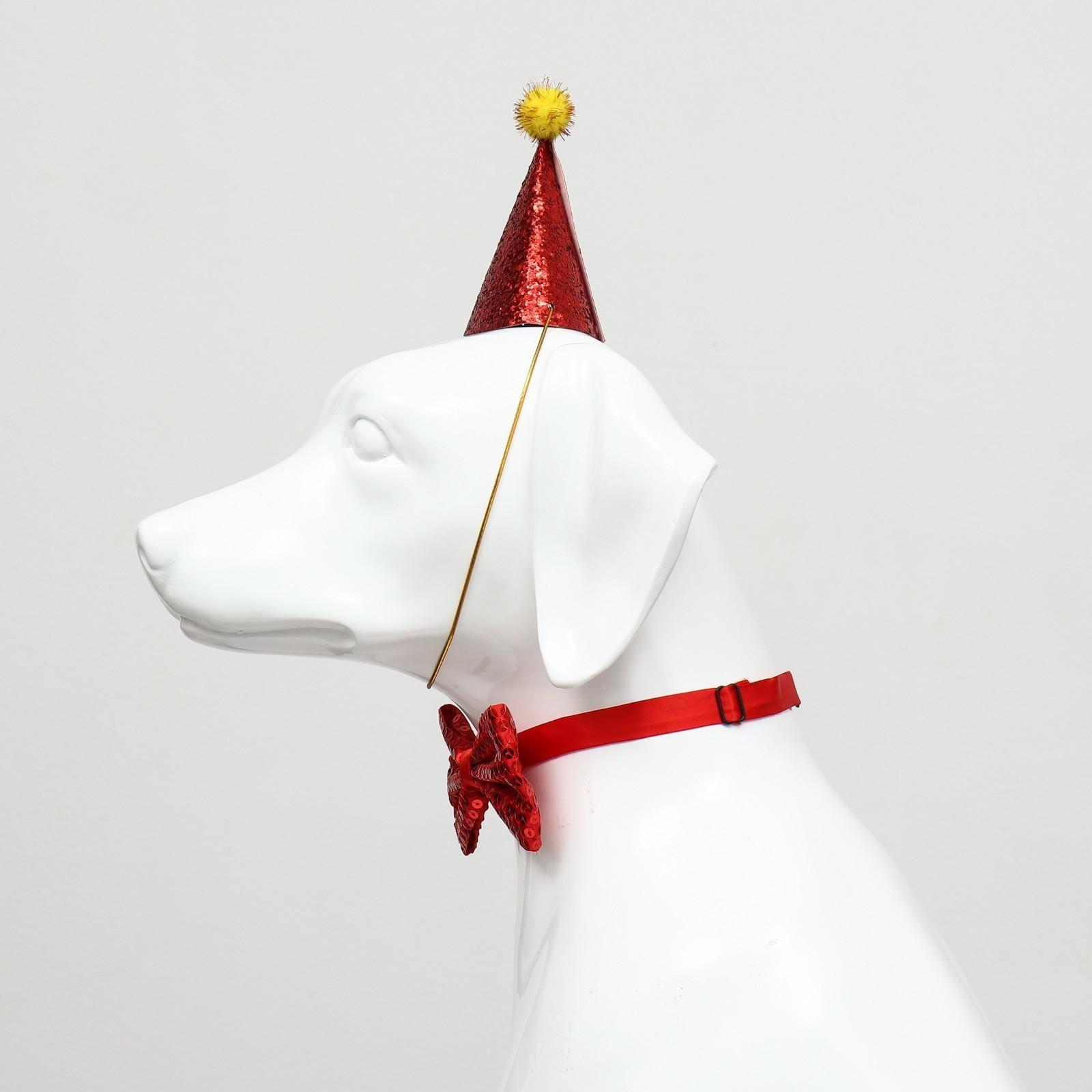 Набор для праздника (колпак+бантик), красный