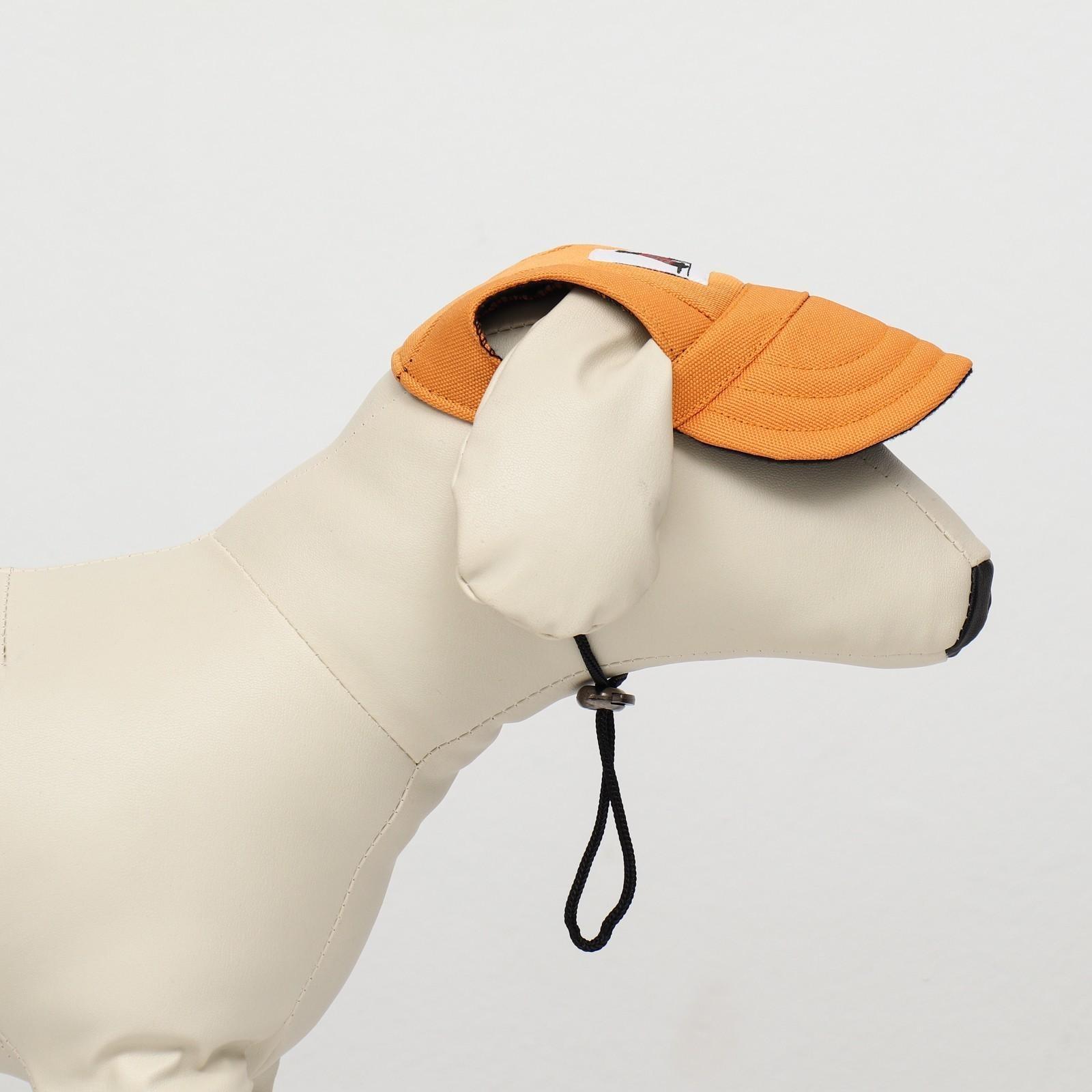 Кепка для собак, M (28-41 см), оранжевая