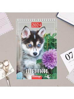 Календарь на пружине без ригеля 