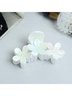 Краб для волос 