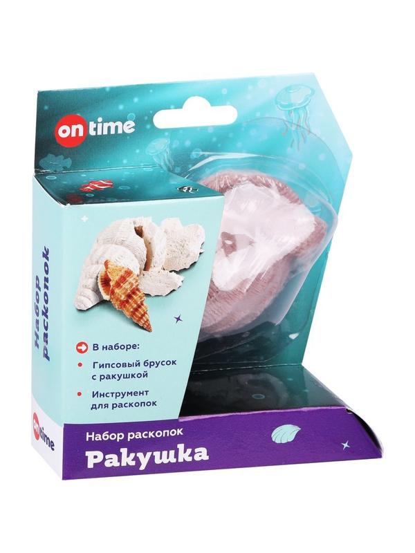 Набор раскопок Ракушка