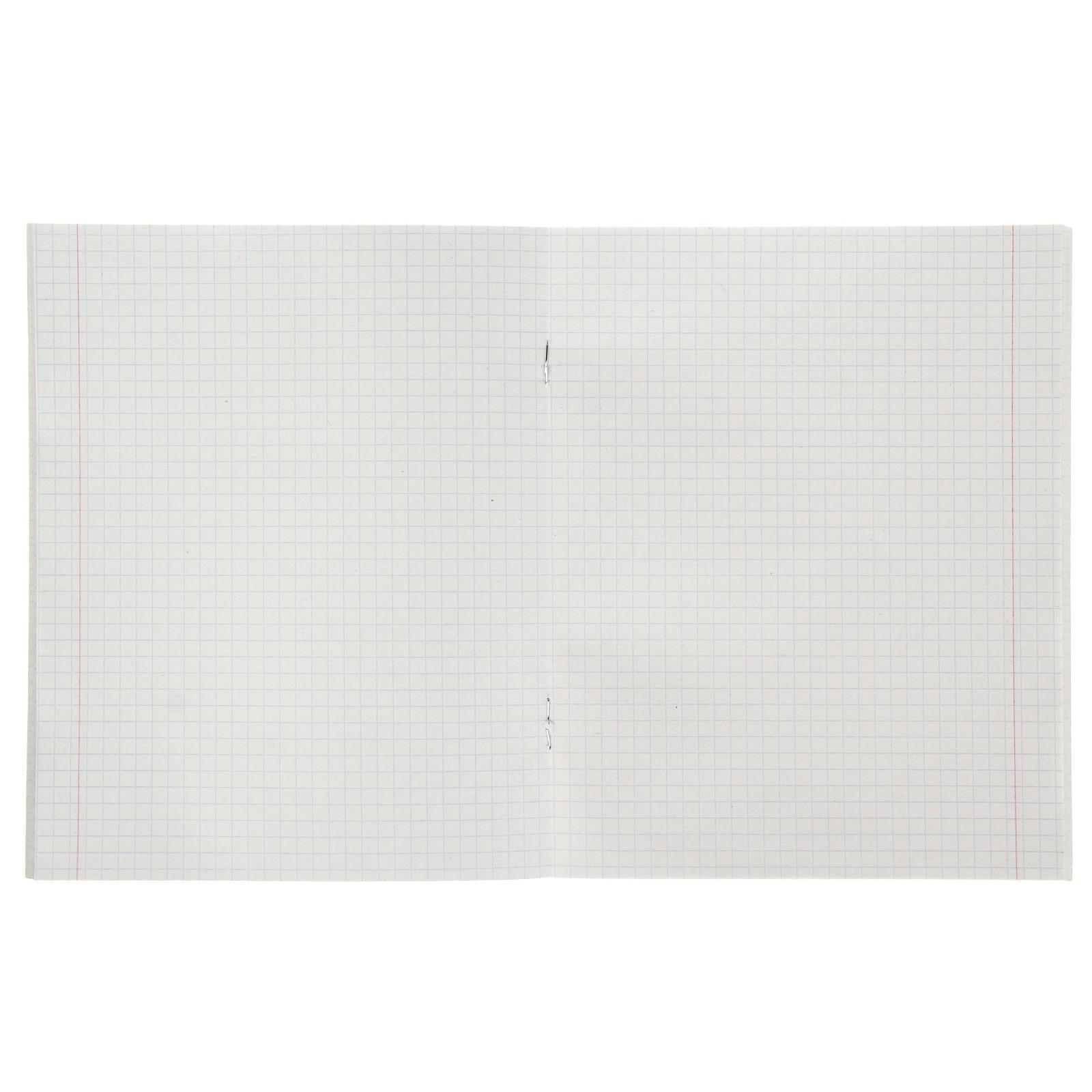 Комплект тетрадей из 5 шт, 48 листов, клетка, Собачьи мордочки, обложка мелованный картон, блок №2, белизна 75% (серые листы) / 1 шт.