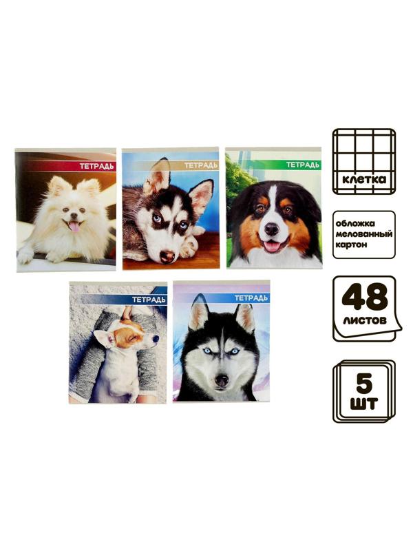 Комплект тетрадей из 5 шт, 48 листов, клетка, Собачьи мордочки, обложка мелованный картон, блок №2, белизна 75% (серые листы) / 1 шт.