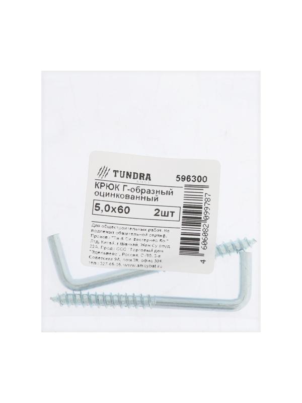 Шуруп-костыль ТУНДРА, белый цинк, М5x60 мм, 2 шт