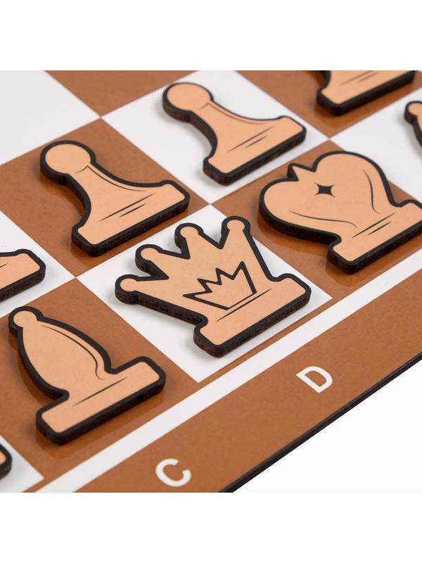 Демонстрационные шахматы 