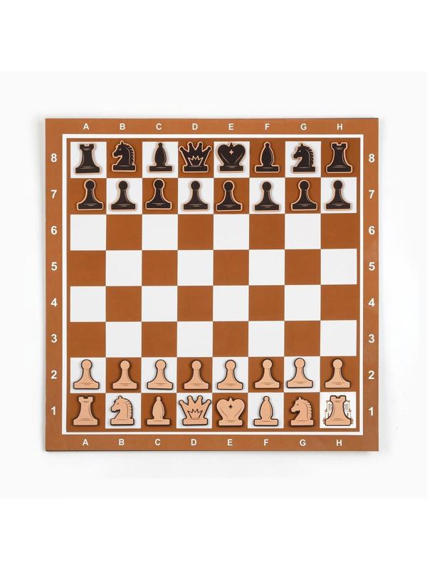 Демонстрационные шахматы 