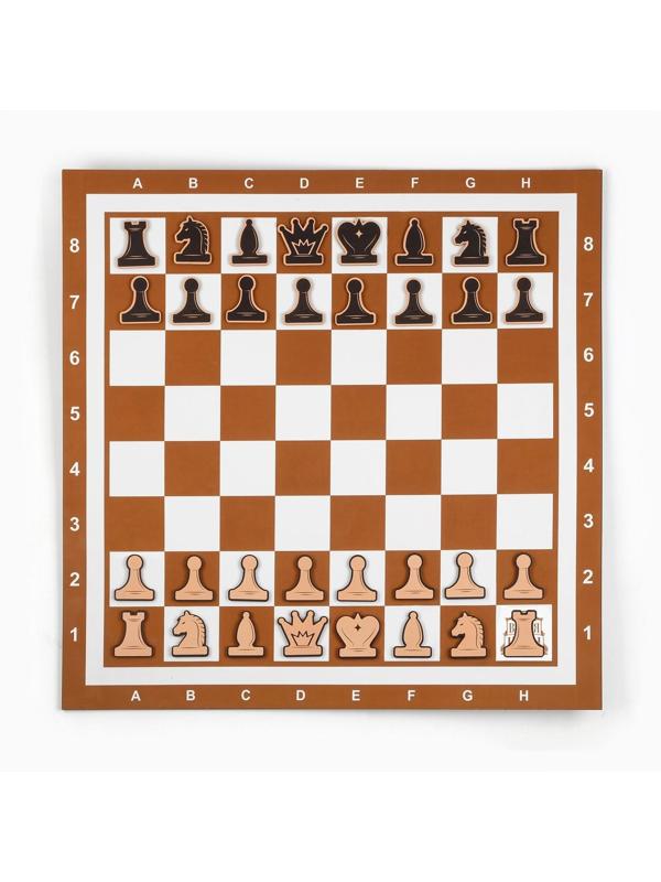 Демонстрационные шахматы 