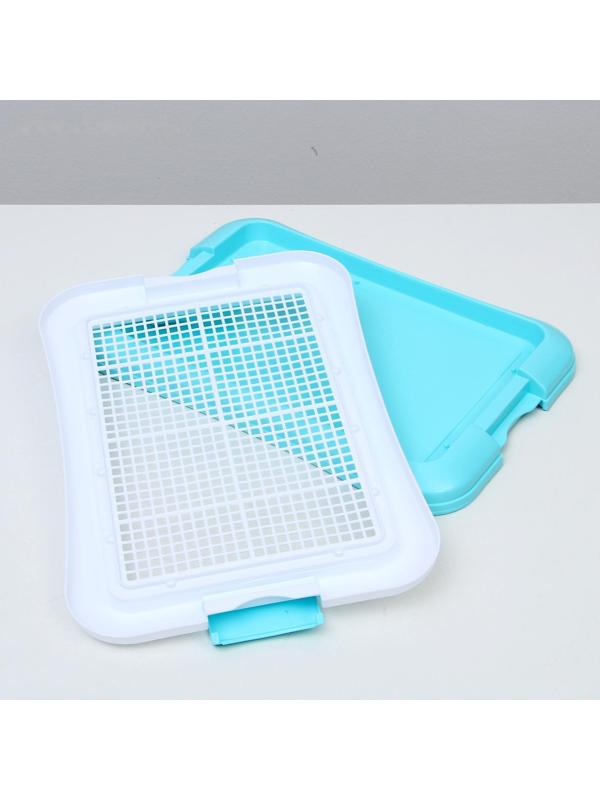 Туалет для собак с сеткой и столбиком, 45 х 35 х 4,5 см, голубой