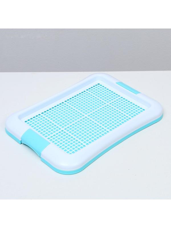 Туалет для собак с сеткой и столбиком, 45 х 35 х 4,5 см, голубой