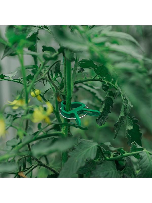 Набор для крепления растений: прищепки большие (6,5 см) - 10 шт., прищепки малые (4,5 см) - 10 шт.