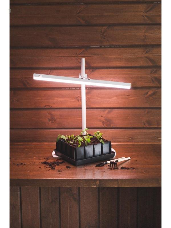 Кассета для рассады, 16 ячеек по 130 мл, с поддоном, чёрная