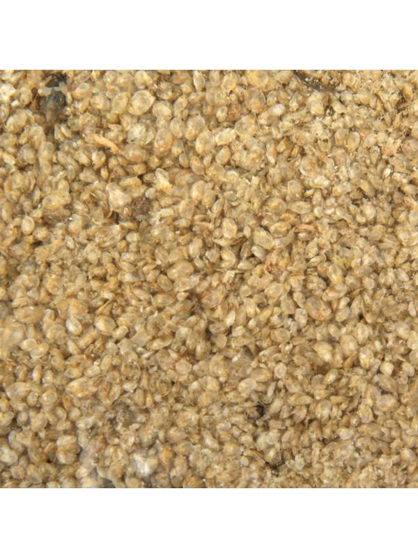 Корм для рыб Дафния, пакет, 100гр