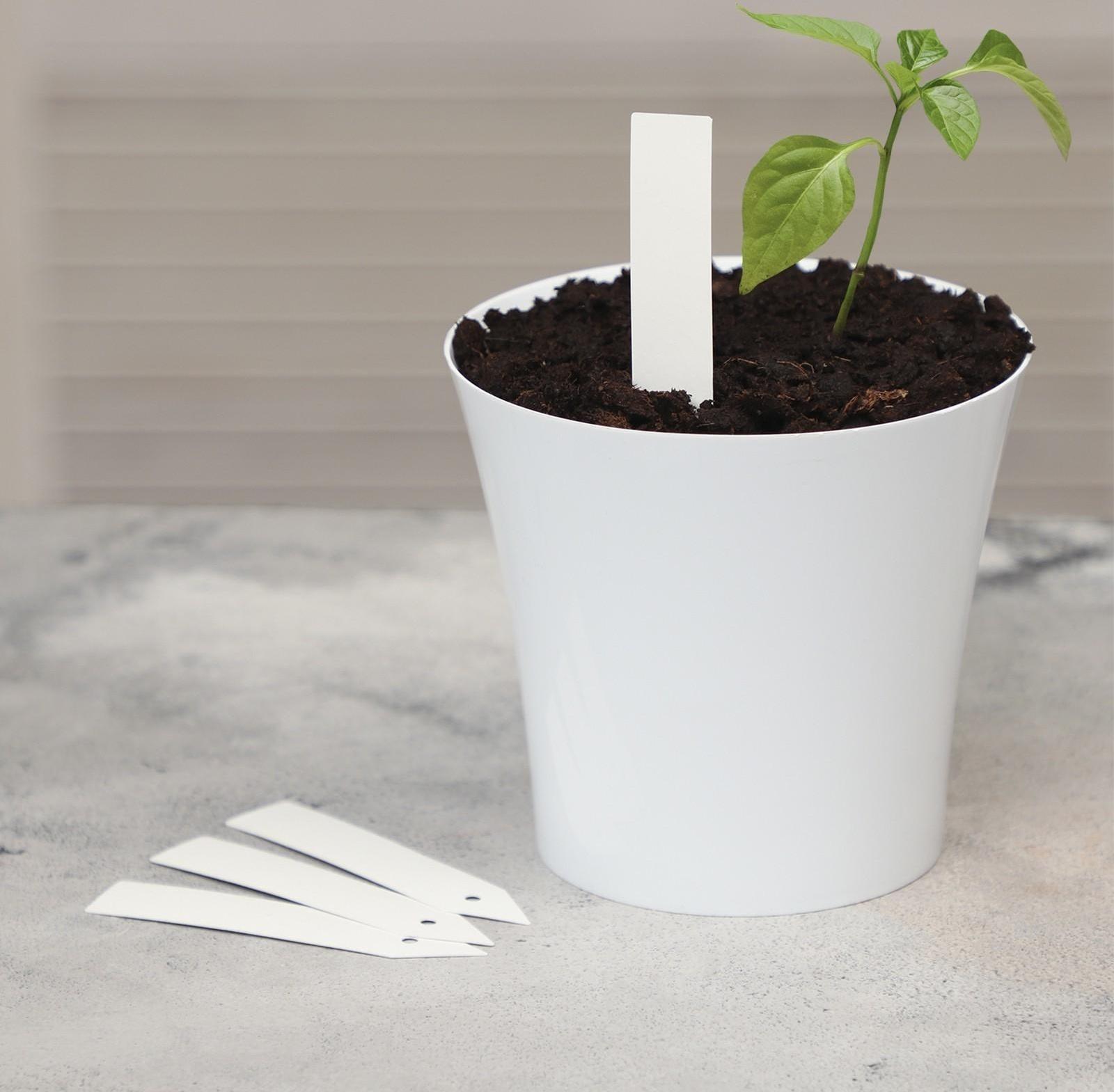 Бирки садовые для маркировки, 10 см, набор 20 шт., пластик, белые, Greengo