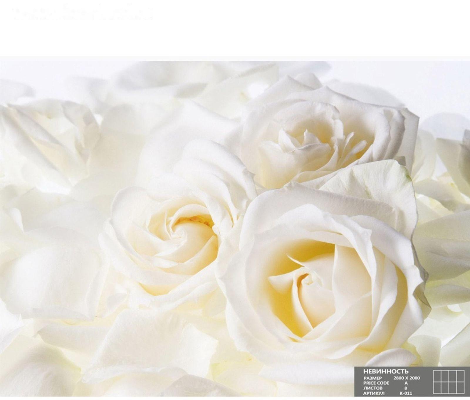 Фотообои К-011 «Невинность» (8 листов), 280 × 200 см