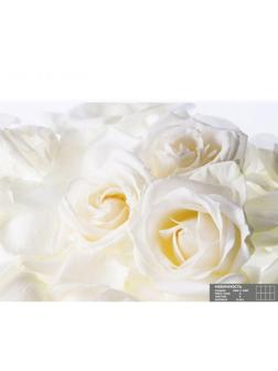 Фотообои К-011 «Невинность» (8 листов), 280 × 200 см