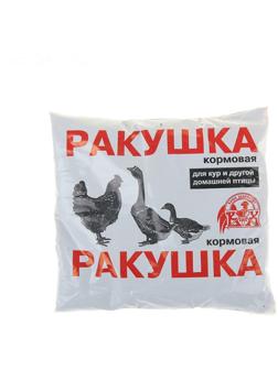 Ракушка 