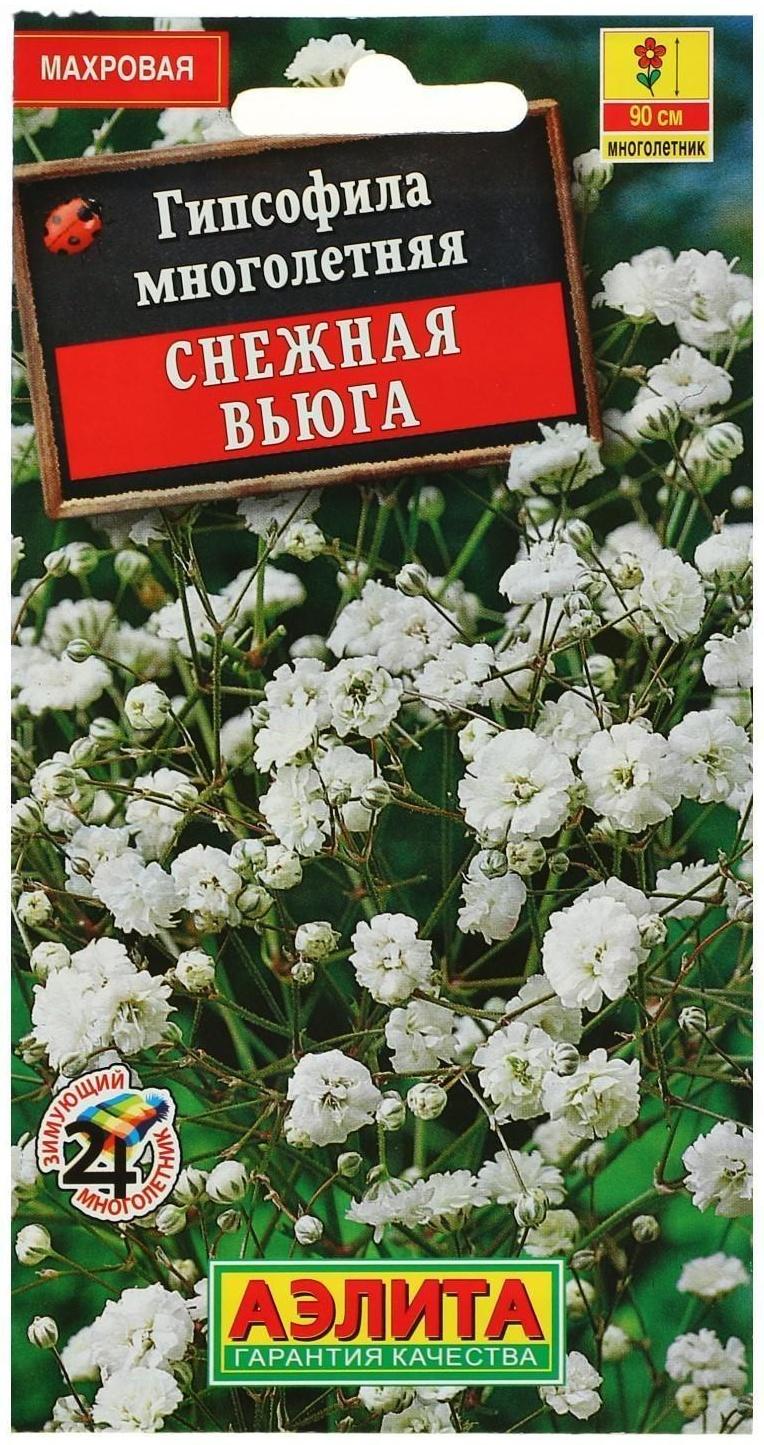 Семена цветов Гипсофила 