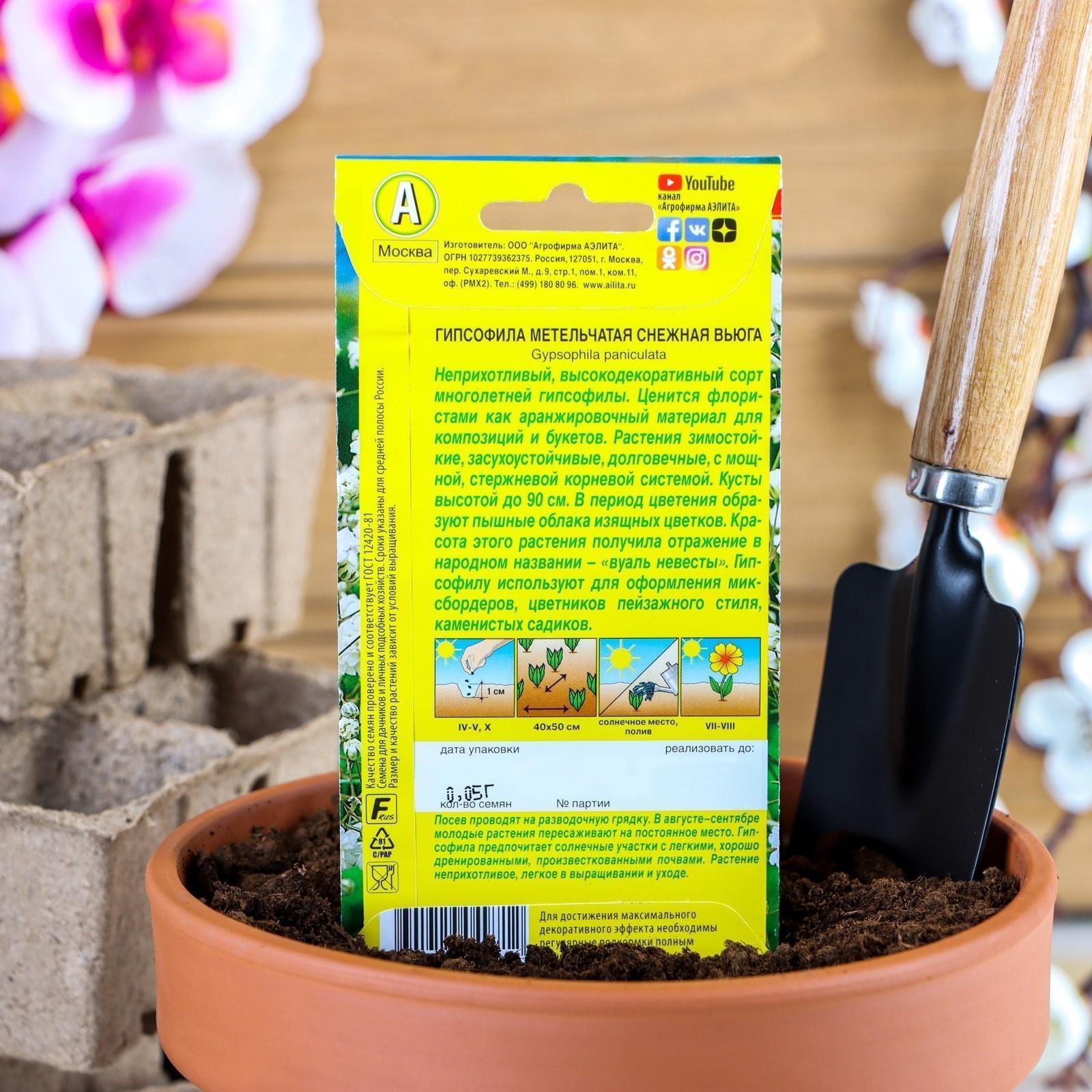 Семена цветов Гипсофила 