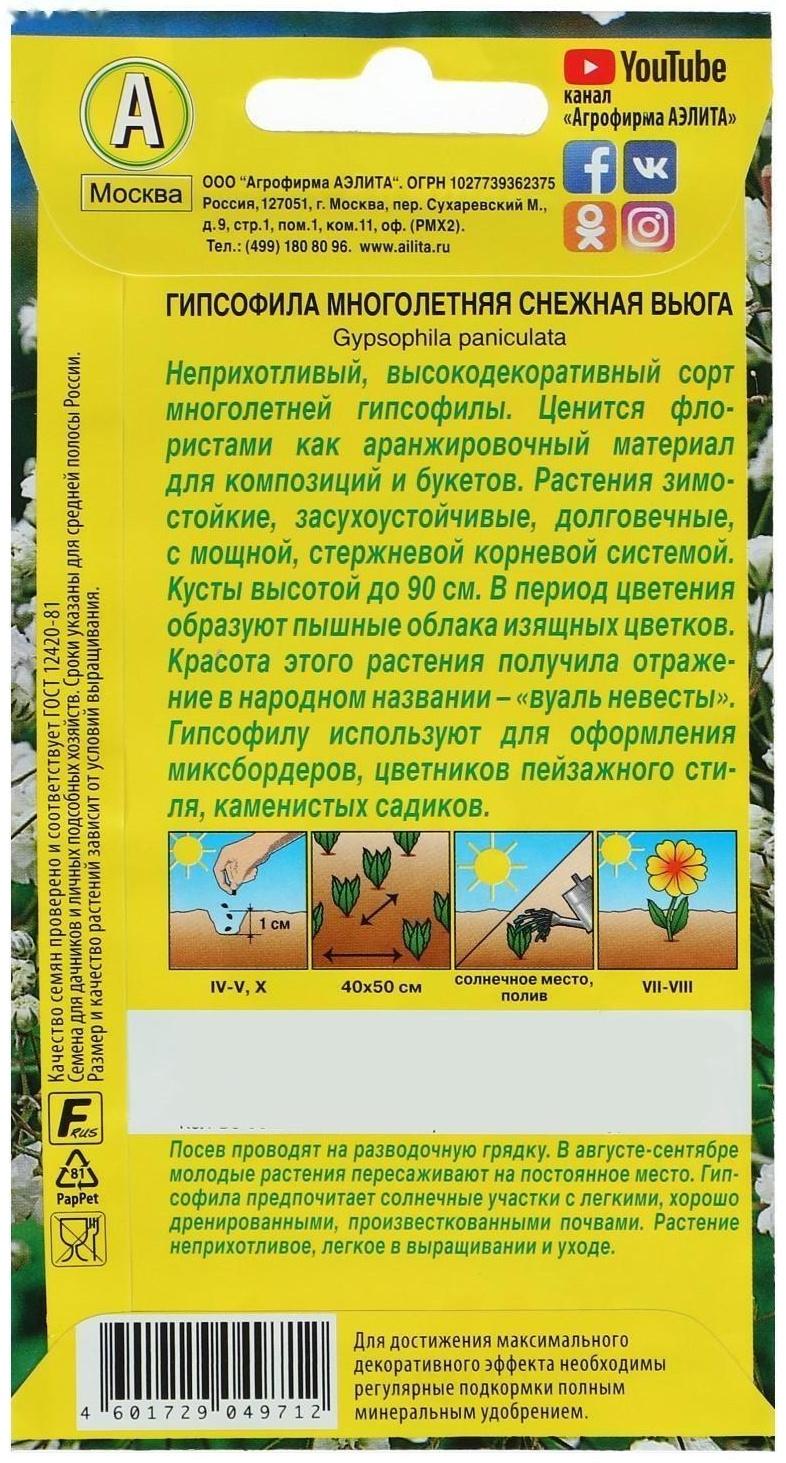 Семена цветов Гипсофила 