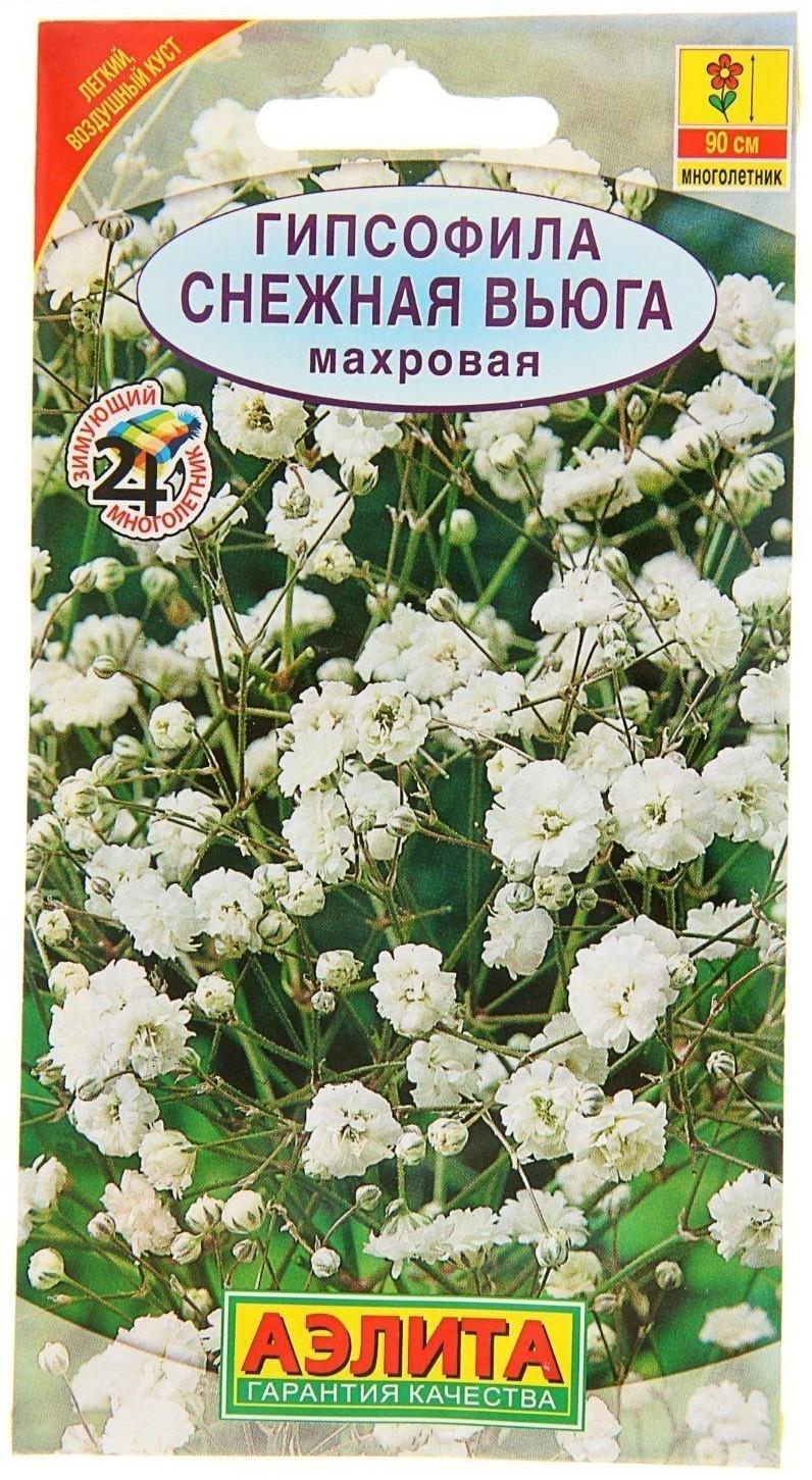 Семена цветов Гипсофила 