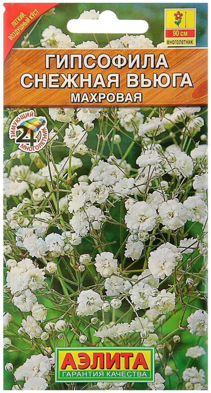 Семена цветов Гипсофила 