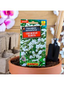 Семена цветов Гипсофила 